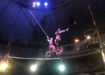 Liên hoan Xiếc quốc tế 2022 tại Hà Nội: Hội tụ đủ mặt anh tài